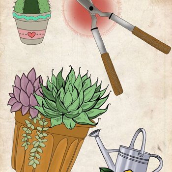 Succulents